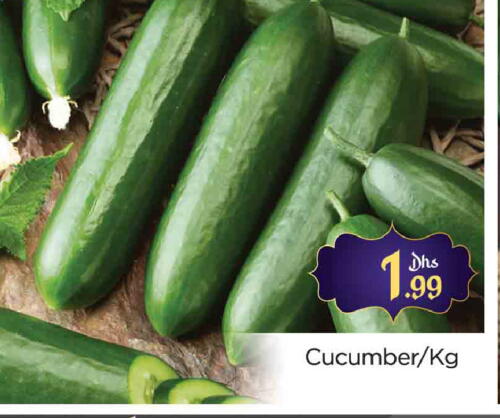 Cucumber available at AL MADINA (Dubai) in UAE - Dubai