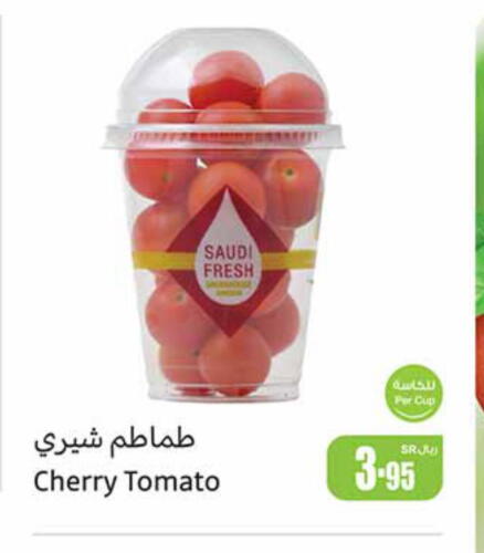  Tomato  in أسواق عبد الله العثيم in مملكة العربية السعودية, السعودية, سعودية - عنيزة