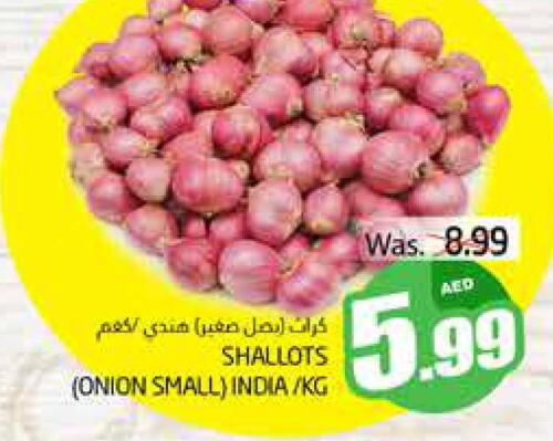  Onion  in مجموعة باسونس in الإمارات العربية المتحدة , الامارات - ٱلْعَيْن‎