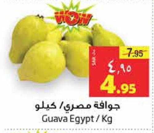 Guava