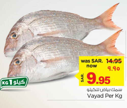  King Fish  in Nesto in KSA, Saudi Arabia, Saudi - Dammam