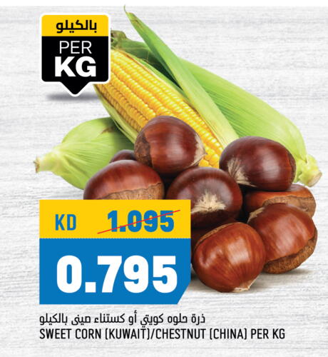 from Kuwait China available at أونكوست in الكويت - محافظة الجهراء