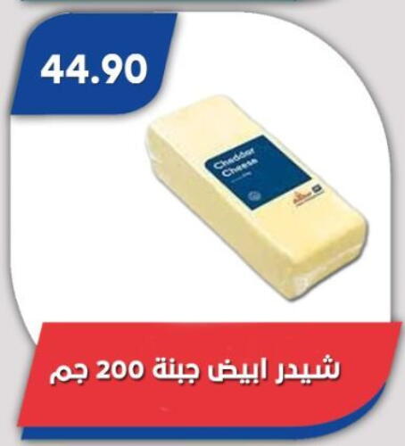 جبنة الشيدر available at باسم ماركت in Egypt - القاهرة