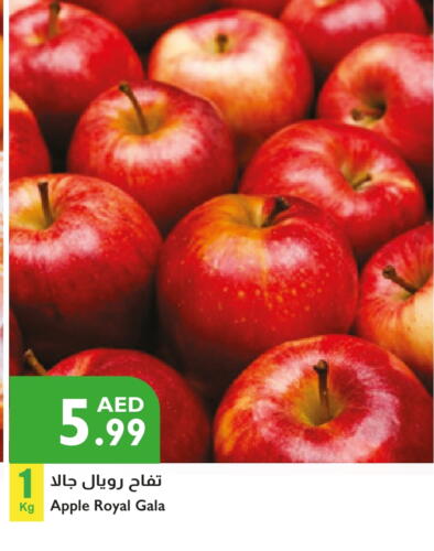 تفاح available at إسطنبول سوبرماركت in الإمارات العربية المتحدة , الامارات - ٱلْعَيْن‎