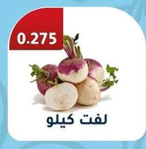 Turnip available at Al Fahaheel Co - Op Society in Kuwait - Jahra Governorate