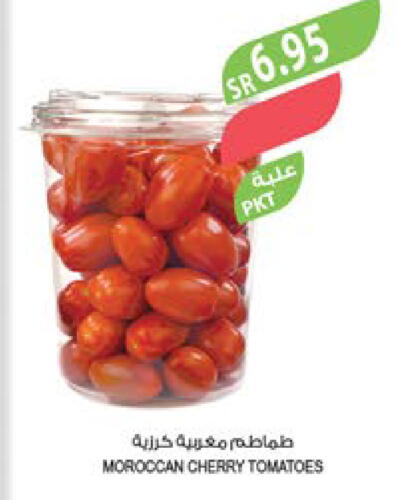  Tomato  in المزرعة in مملكة العربية السعودية, السعودية, سعودية - سكاكا