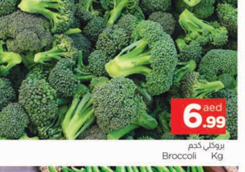 Broccoli available at AL MADINA in UAE - Sharjah / Ajman