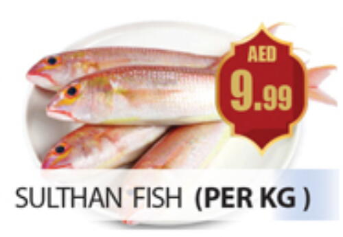 available at Gulf Hypermarket LLC in UAE - Ras al Khaimah