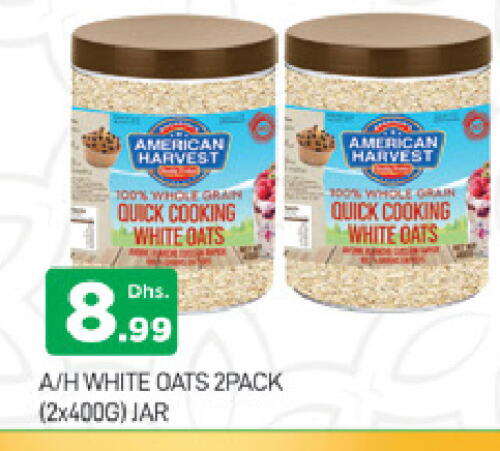 AMERICAN HARVEST Oats available at AL MADINA (Dubai) in UAE - Dubai