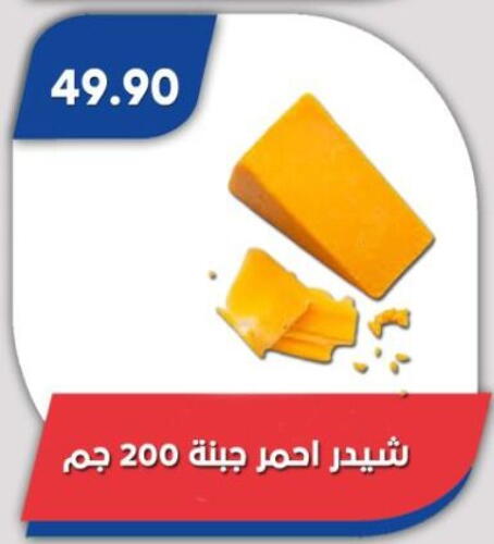 جبنة الشيدر available at باسم ماركت in Egypt - القاهرة