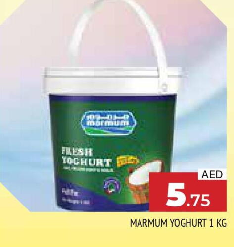 MARMUM Yoghurt  in المدينة in الإمارات العربية المتحدة , الامارات - الشارقة / عجمان