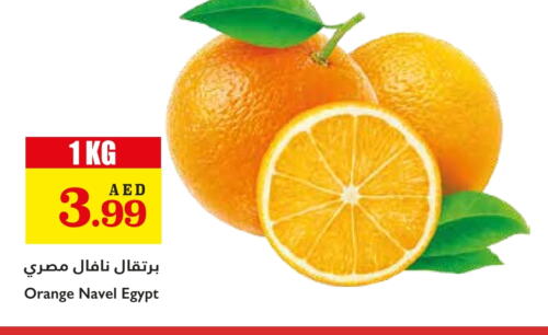 Orange from Egypt available at Trolleys Supermarket in UAE - Dubai