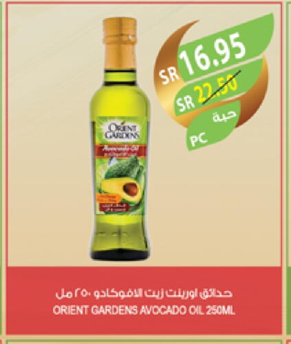 Avocado available at المزرعة in مملكة العربية السعودية, السعودية, سعودية - جدة