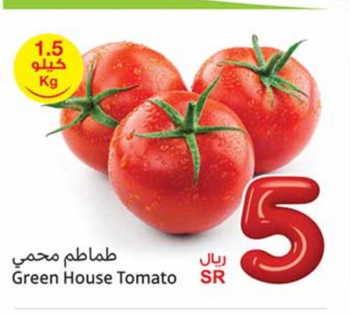 Tomato available at Othaim Markets in KSA, Saudi Arabia, Saudi - Rafha