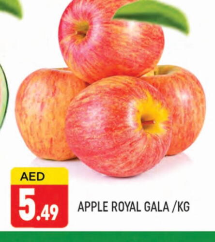 Apples available at AL MADINA (Dubai) in UAE - Dubai