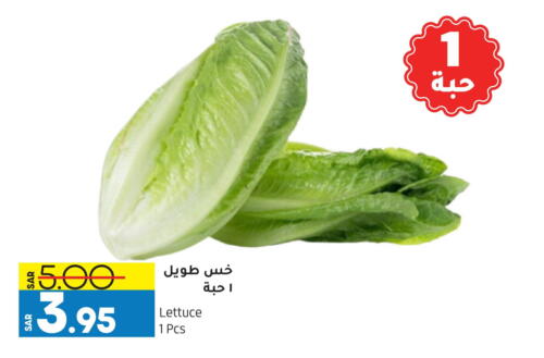 Lettuce from Qatar available at أسواق استهلاكيه الدوحة المركزية in مملكة العربية السعودية, السعودية, سعودية - الخبر‎