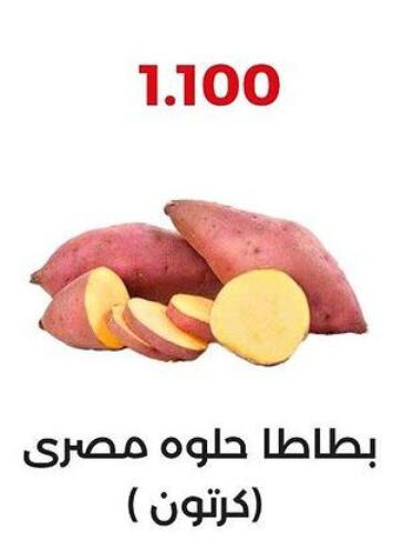  Sweet Potato  in  Adailiya Cooperative Society in Kuwait - Jahra Governorate