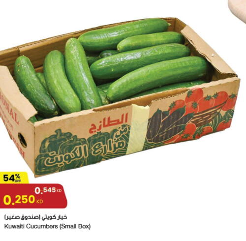  Cucumber  in مركز سلطان in الكويت - محافظة الأحمدي