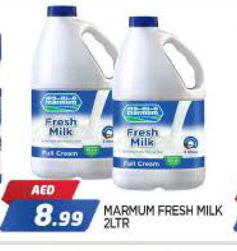 MARMUM Fresh Milk available at AL MADINA in UAE - Sharjah / Ajman