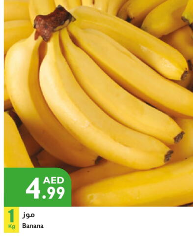 Banana available at Istanbul Supermarket in UAE - Abu Dhabi