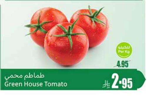 Tomato available at Othaim Markets in KSA, Saudi Arabia, Saudi - Dammam