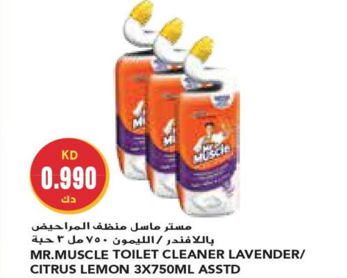 MR. MUSCLE Toilet / Drain Cleaner  in Grand Costo in Kuwait - Ahmadi Governorate