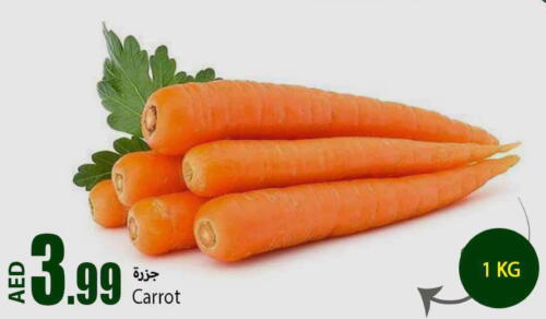  Carrot  in  روابي ماركت عجمان in الإمارات العربية المتحدة , الامارات - الشارقة / عجمان