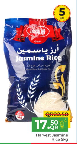 Jasmine Rice available at Family Food Centre in Qatar - Al Wakra