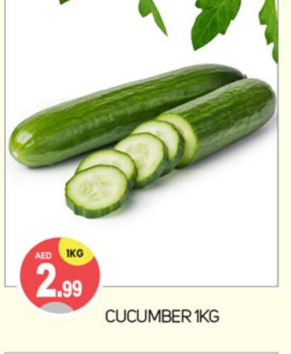 Cucumber available at TALAL MARKET in UAE - Dubai