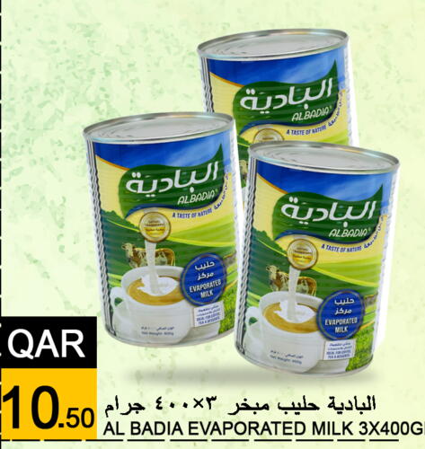  Evaporated Milk  in Food Palace Hypermarket in Qatar - Doha