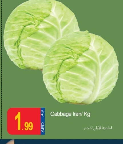 Cabbage from Iran available at Rawabi Market Ajman in UAE - Sharjah / Ajman