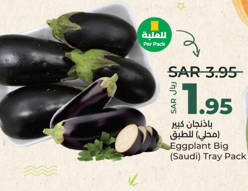  Zucchini  in لولو هايبرماركت in مملكة العربية السعودية, السعودية, سعودية - عنيزة