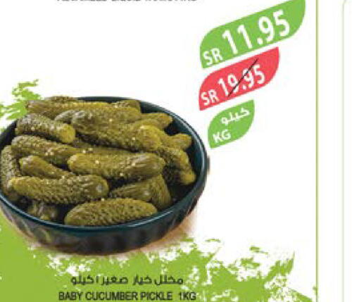  Pickle  in Farm  in KSA, Saudi Arabia, Saudi - Al Hasa